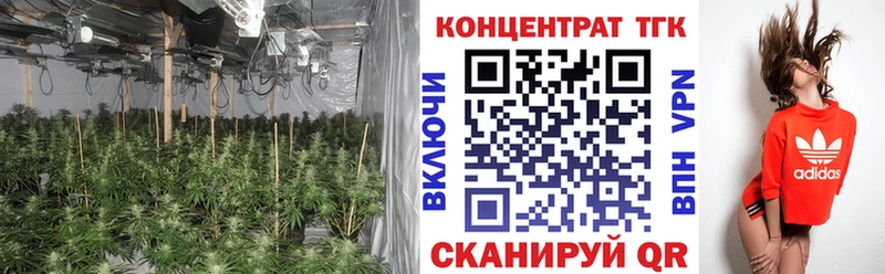ТГК вейп с тгк  Пустошка 
