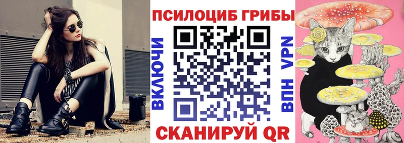 Псилоцибиновые грибы Psilocybe где купить наркотик Пустошка